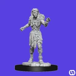 Wizkids Dungeons & Dragons: Nolzur's Marvelous Miniatures Wave 14 - Drowned Assasin & Drowned Ascetic