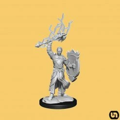 Wizkids Dungeons & Dragons: Nolzur's Marvelous Miniatures Wave 14 - Half-Elf Paladin