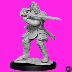 Wizkids Dungeons & Dragons: Nolzur's Marvelous Miniatures Wave 15 - Hobgoblin Fighter & Hobgoblin Wizard