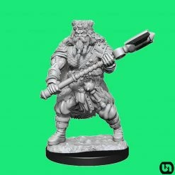 Wizkids Dungeons & Dragons: Nolzur's Marvelous Miniatures Wave 14 - Human Barbarian
