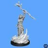 Wizkids Dungeons & Dragons: Nolzur's Marvelous Miniatures Wave 14 - Human Druid Female