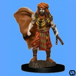 Wizkids Dungeons & Dragons: Icons Of The Realms Premium Miniatures - Human Druid Male