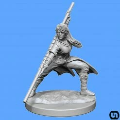 Wizkids Dungeons & Dragons: Nolzur's Marvelous Miniatures Wave 14 - Human Monk
