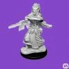 Flash Sale 🎁 Wizkids Dungeons & Dragons: Nolzur's Marvelous Miniatures Wave 14 - Night Hag & Dusk Hag ✨ 1 Wizkids Dungeons & Dragons: Nolzur's Marvelous Miniatures Wave 14 - Night Hag & Dusk Hag