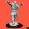 Wizkids Dungeons & Dragons: Nolzur's Marvelous Miniatures Wave 14 - Scarecrow & Stone Cursed