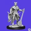 Wizkids Dungeons & Dragons: Nolzur's Marvelous Miniatures Wave 14 - Tiefling Bard Female